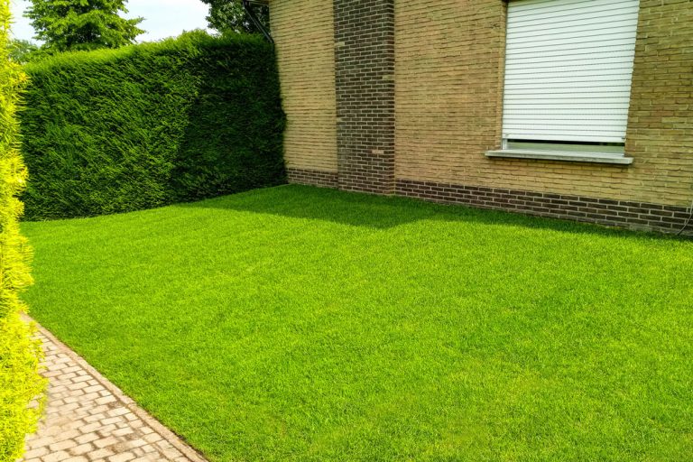 Gras en Tuin | graszoden leggen